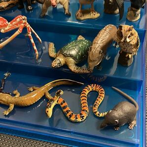 チョコエッグ 日本の動物コレクション 海洋堂 シークレット2体含む26体セットの画像6