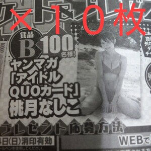 ヤングマガジン 2024 No.19 桃月なしこ QUOカード 応募用紙 10枚