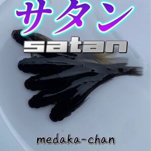 【メダカの卵】サタンメダカ　卵30個+α /鰭長　オロチ鰭長