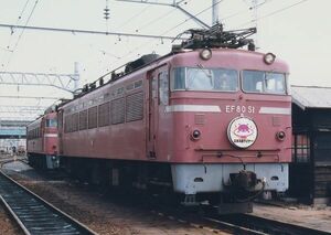 鉄道写真 EF80 51 電気機関車 臨時列車 エキスポライナー L判（89mm×127mm）