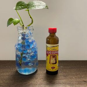 【ミニチュア空瓶】ブラジルの酒『VELHO BARREIRO』 ミニチュア 50ml