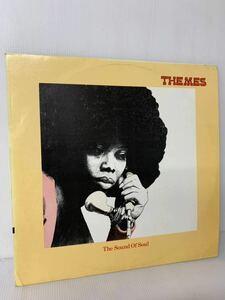 稀少 THEMES The Sound Of Soul THAT'S WHAT FRIENDS ARE FOR (instrumental) Themes International Music TIM 1022 オリジナル盤