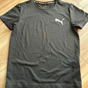 PUMA Tシャツ 半袖Tシャツ　プーマ　140cm