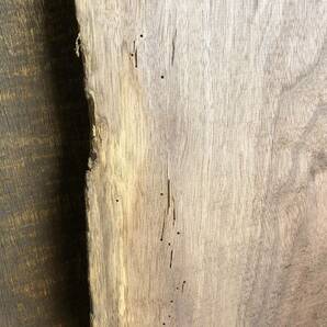 送料無料！【S711G】ウォルナット 857～865×～410×19㎜ 板材 乾燥材 木工 DIY 材木 天然木 無垢材《銘木すずめや》の画像10