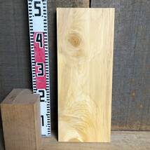 送料無料！【S961I】榧 480×195×24㎜ 薄板 乾燥材 木工 DIY 材木 天然木 無垢材《銘木すずめや》_画像6