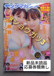 週刊ヤングマガジン No.21・22 沢口愛華 本郷柚巴 (新品未読品)応募券類は、切取りました。