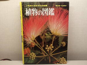 小学館　植物の図鑑　中古美品