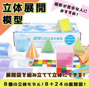 算数　立体展開模型　小学受験　中学受験　STEAM 知育玩具　小学生　中学生 