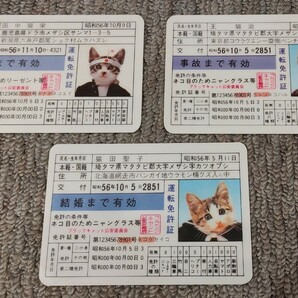 なめ猫 免許証 三枚セットの画像1