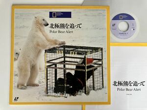 NATIONAL GEOGRAPHIC SOCIETY 北極熊を追って Polar Bear Alert LD G98K2818 竹内均/中川志郎監修,矢島正明,氷原の王者,オリに迫る北極熊