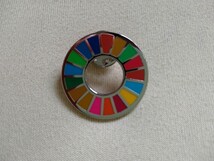 SDGs ピンバッジ ミニレターで送料無料 k_画像2