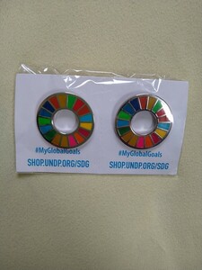 SDGs ピンバッジ 2個です。 ミニレターで送料無料 a