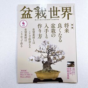  bonsai world 2023 year 4 month number future well become bonsai. obtaining . making person [22]