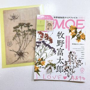 MOE (moe) 2023 year 6 month number (... Taro I LOVE plant l special ...... Taro. plant map clear file )