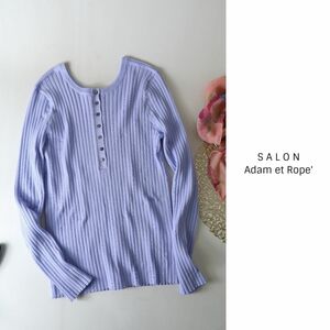 超美品☆アダムエロペ/SALON Adam et Rope'☆洗える 2WAYリブクルーネックプルオーバー フリーサイズ☆N-H 0895