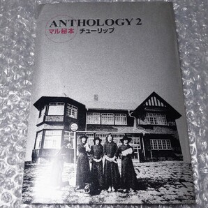 チューリップ ANTHOLOGY2 マル秘本 財津和夫
