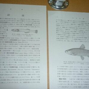 淡水魚1957『日本列島産淡水魚類総説』 青柳兵司 著の画像10