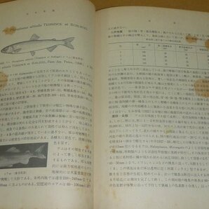 淡水魚1957『日本列島産淡水魚類総説』 青柳兵司 著の画像6