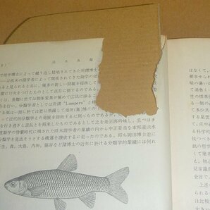 淡水魚1957『日本列島産淡水魚類総説』 青柳兵司 著の画像9