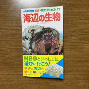  小学館の図鑑NEO 海辺の生物　　