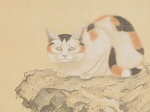 [.] Yoshida . cow [ three wool cat map ] genuine work silk book@ coloring hanging scroll box attaching 