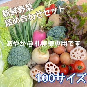 【新鮮！美味しい！】季節の採れたて野菜 詰め合わせセット 100サイズ