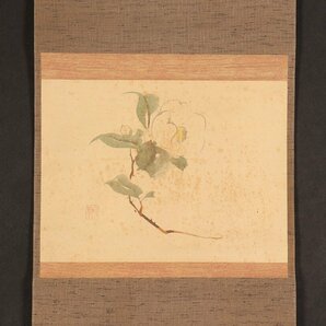 【模写】【伝来】sh9381〈酒井抱一〉白椿図 琳派 江戸時代後期 東京の人の画像1