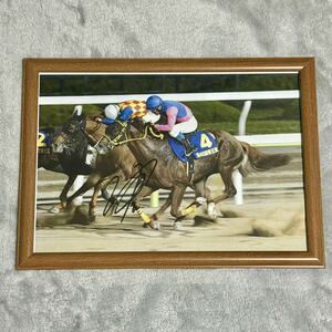 「競馬 メイショウハリオ 浜中俊 直筆サイン入り A4写真 証拠有り」武豊 藤田菜七子 ゼッケン ルメール 大谷翔平 グッズ 馬券 ぬいぐるみ