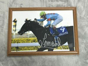 [ horse racing iki knock s Chris tof*ru mail with autograph A4 photograph proof . have ].. wistaria rice field . 7 . number tem-ro goods horse ticket soft toy 