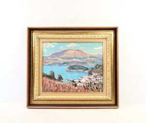 Art hand Auction Œuvre authentique de Mizutani Shigenosuke Peinture à l'huile Lac Ashi Taille : 45, 5 cm x 38 cm F8 Né dans la préfecture d'Ibaraki Membre du comité fondateur de la Shiraka Art Association Représente le lac Ashi et le paysage urbain le long du lac depuis un terrain élevé 8834, Peinture, Peinture à l'huile, Nature, Peinture de paysage