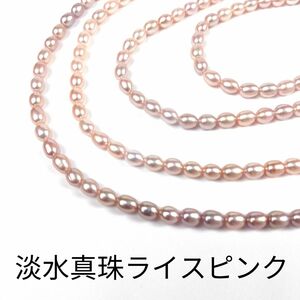 淡水真珠 パール ライス ピンク 1連(38cm)