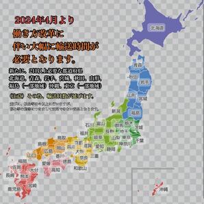 和歌山県産 八朔 はっさく 柑橘 フルーツ みかん 家庭用 早い者勝ち 残り少しの画像8