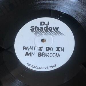 DJ Shadow - What I Do In My Bedroom　(A26)