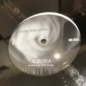 Dark Energy - Dark Paradise　(A26)