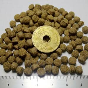 おとひめEP5 沈下性 1Kｇ（500ｇ詰め×２袋） 直径約5.1mm 鯉 エンドリ エイ ダトニオ キャットなど 観賞魚に 日清丸紅飼料 餌 えさの画像2