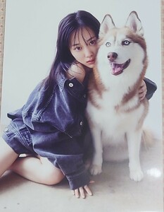 乃木坂46　山下美月　2nd 写真集　ヒロイン　封入 特典 ポストカード