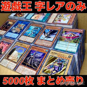 遊戯王 約5000枚 日本語 字レア のみ 大量 まとめ売り 引退品 D.D クロウ 天底の使徒 群艦 彼岸の悪鬼 ガドルホック トロイメア ケルベロス