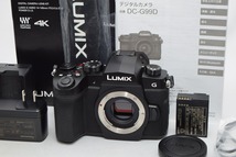 美品★Panasonic パナソニック LUMIX DC-G99D ボディ★元箱付_画像1