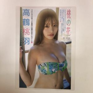 『雑誌グラビア ラミネート加工』I-067 『高鶴桃羽 ABEMA恋リア 愛されガール』ヤングマガジン 2023年11月27日号 B5 2枚4ページ ※15