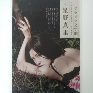 『雑誌グラビア ラミネート加工』O-1537『星野真里 グラビア文学館 藪の中』週刊現代 平成21年11月28日発行 B5 4枚7ページ ※15 の画像1