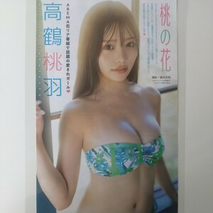 あ-051『雑誌グラビア ラミネート加工』『高鶴桃羽 恋リア番組出演 水着』ヤングマガジン 2023年11月27日号 B5 2枚4ページ ※15