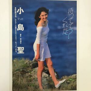 え-024『雑誌グラビア ラミネート加工』小島聖(東映映画→本気！のヒロイン・T163B79W59H77)A4 2枚4P GORO 1991年4月25日号※15