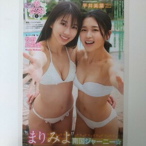 お-001『雑誌グラビア ラミネート加工』『牧野真莉愛 平井美葉 水着 ハロプロ』ヤングマガジン 2022年3月28日号 B5 7枚13ページ ※15