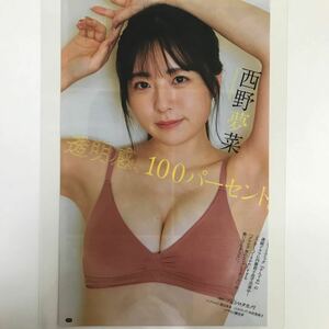 か-021『雑誌グラビア ラミネート加工』西野夢菜(透明感100%・グラ界のシンデレラガール)B5 2枚3Pヤングチャンピオン2023年12月12日号※15