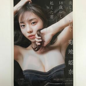 か-031『雑誌グラビア ラミネート加工』菊地姫奈(美しさの領域を18歳にして超えた君)B5 5枚10Pヤングチャンピオン2023年6月27日号※15の画像1