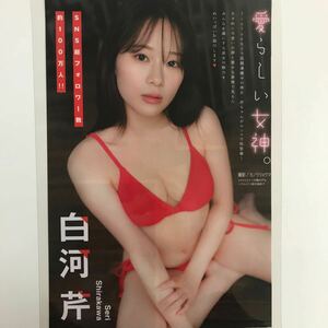 か-061『雑誌グラビア ラミネート加工』白河芹(SNS総フォロワー数約100万人・魅力満載)B5 2枚4Pヤングマガジン2024年4月1日号※15