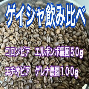 飲み比べエチオピア ゲイシャ ナチュラル 100g コロンビア ゲイシャ エル・ボンボW ５０g 自家焙煎 コーヒー豆