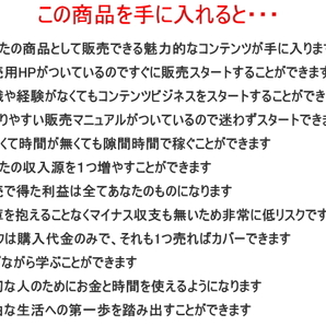 AI画像・動画合成術～初級編【再販権＋販売用HP付】「ディープフェイク！？」無料で簡単手軽に画像や動画の顔をあなたの好きな顔に合成可能の画像8