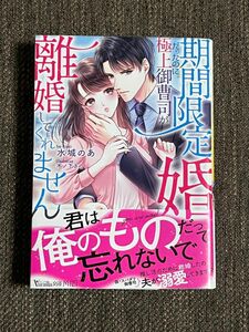 期間限定婚だったのに極上御曹司が離婚してくれません （Ｖａｎｉｌｌａ文庫Ｍｉｅｌ) 水城のあ／著