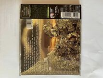 送料無料 CD KORN 　FOLLOW THE LEADER_画像2